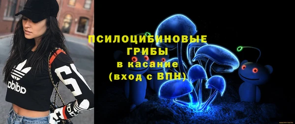 хмурый Арсеньев