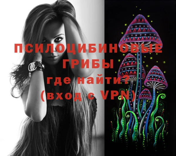 хмурый Арсеньев