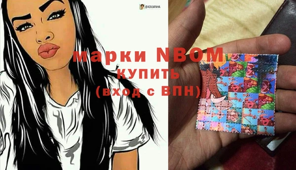 хмурый Арсеньев