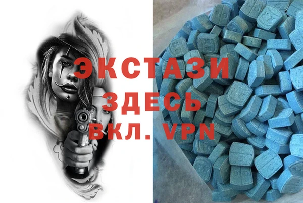 хмурый Арсеньев
