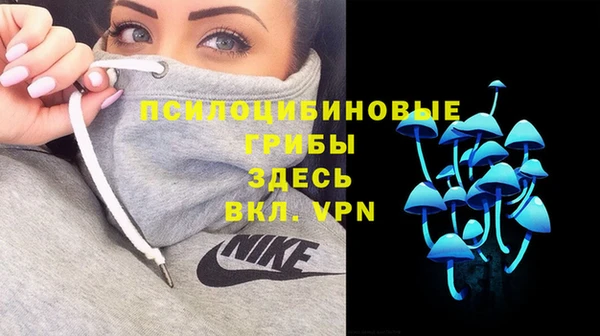 стафф Армянск