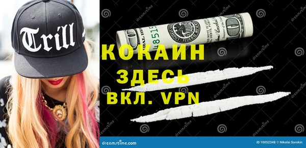 хмурый Арсеньев