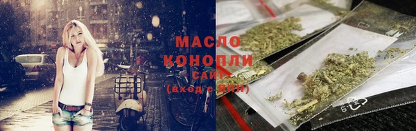 хмурый Арсеньев