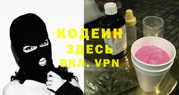 хмурый Арсеньев