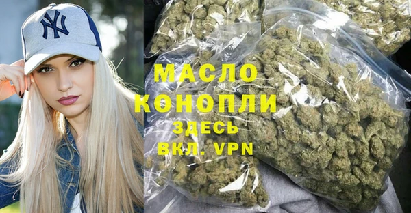 хмурый Арсеньев