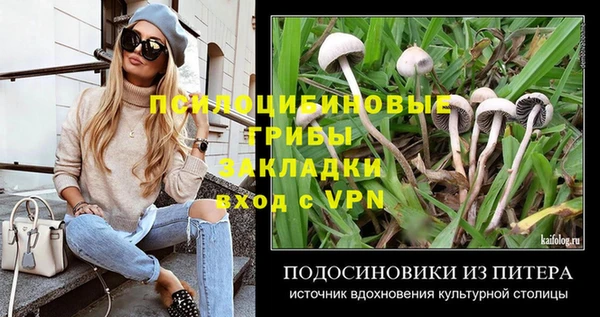 стафф Армянск