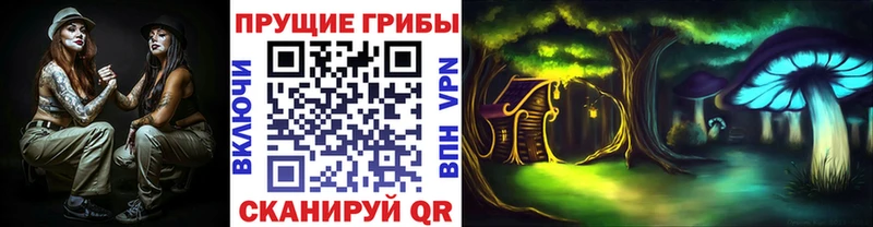 Галлюциногенные грибы Magic Shrooms  Бирюч 