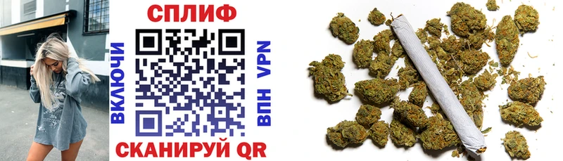 Бошки Шишки сатива  Бирюч 